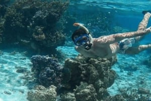 Punta Cana: excursión de snorkel a la isla Catalina con almuerzo
