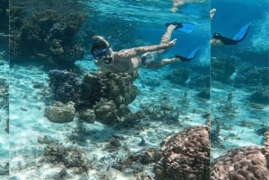 Punta Cana: excursión de snorkel a la isla Catalina con almuerzo