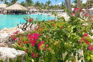 Punta Cana : Excursion de Snorkeling sur l'Île Catalina avec Déjeuner