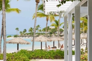 Punta Cana : Excursion de Snorkeling sur l'Île Catalina avec Déjeuner