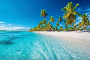 Punta Cana: Excursión de snorkel a la Isla Catalina con almuerzo