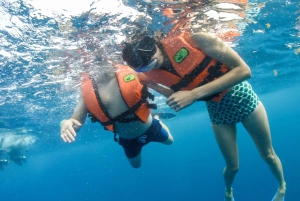 Punta Cana: snorkeltour naar Isla Catalina met lunch