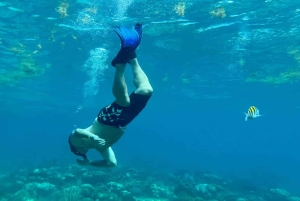 Punta Cana: snorkeling na wyspie Catalina z lunchem