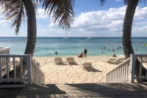 Punta Cana: snorkeling na wyspie Catalina z lunchem