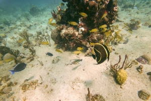 Punta Cana: Catalina Island Trip with Snorkeling