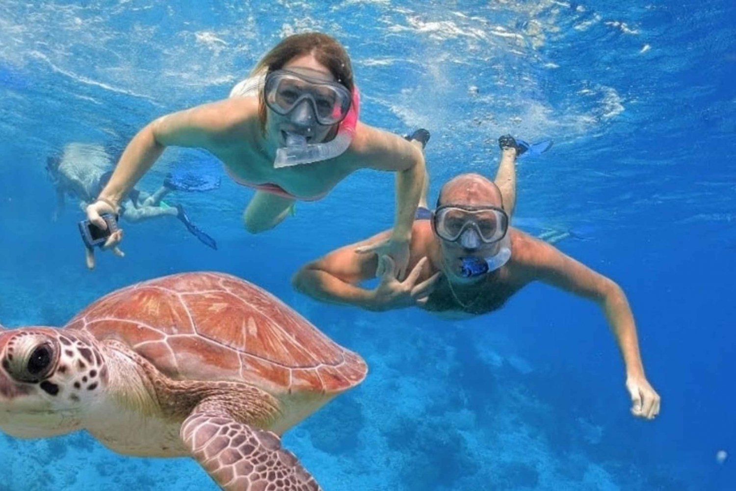 Punta Cana : incroyable aventure en catamaran sur l'île Saona avec déjeuner