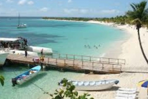 Punta Cana : Journée sur l'île de Saona avec catamaran, déjeuner et plages vierges