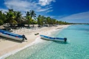 Punta Cana : Journée sur l'île de Saona avec catamaran, déjeuner et plages vierges