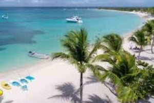 Punta Cana: Giornata sull'isola di Saona con catamarano, pranzo e spiagge vergini