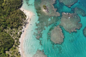 プンタ カナ：カタマラン ボートでサオナ島へ、ビュッフェ式ランチ付き