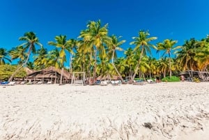 Punta Cana: Catamaran Boat to Saona Island with Buffet Lunch