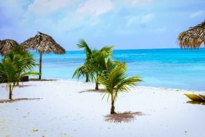 プンタ カナ: ビュッフェ ランチ付きのサオナ島行きカタマラン ボート