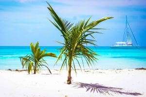 プンタ カナ: ビュッフェ ランチ付きのサオナ島行きカタマラン ボート