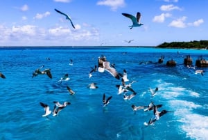 プンタ カナ: ビュッフェ ランチ付きのサオナ島行きカタマラン ボート