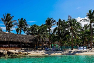 Punta Cana: catamaran boat to Saona Island with buffet lunch