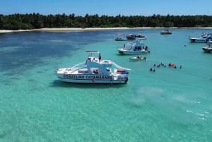 Punta Cana: rejs katamaranem z nurkowaniem i napojami