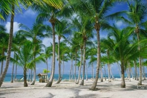 Punta Cana: Catamaran Day Trip to Catalina Island with Lunch