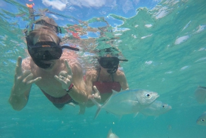 Punta Cana: Katamaran familietur