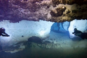 Punta Cana: grotduikervaring op twee unieke duiklocaties