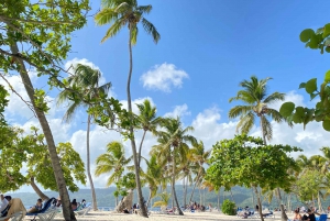 Punta Cana: Gita a Cayo Levantado e all'isola Bacardi con pranzo