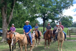 Punta Cana: Cayo Levantado & El Limon Waterfall Tour