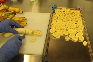 Punta Cana: Chillo al Coco Dominican Cooking Class