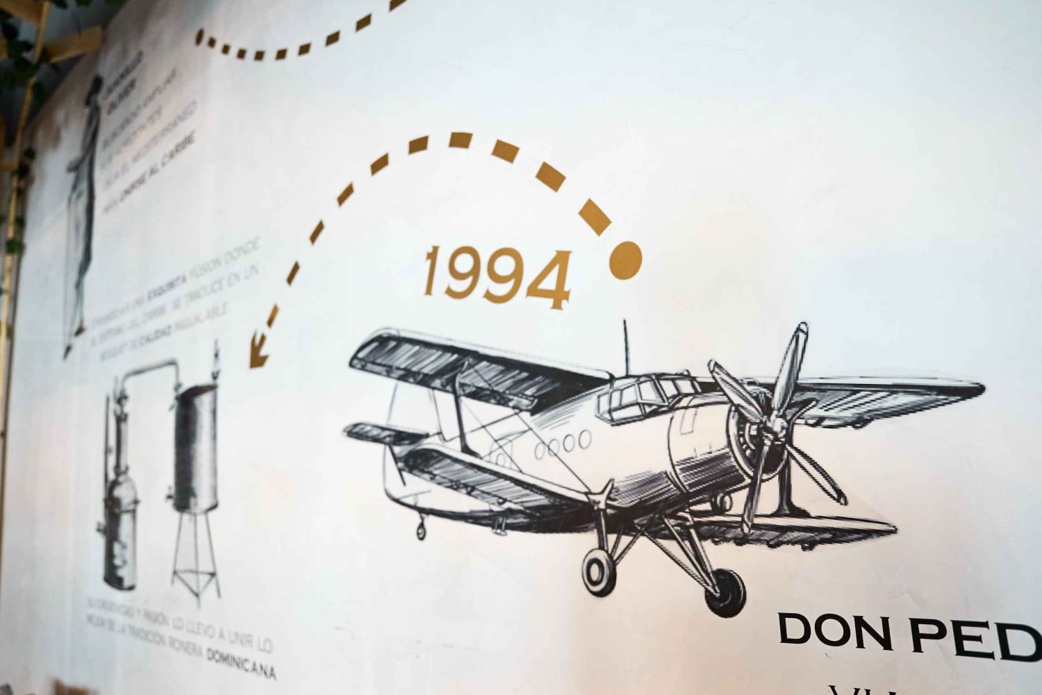 Punta Cana Chocolate Master Class Experience