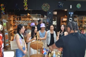 Punta Cana Chocolate Master Class Experience