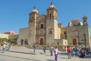 Punta Cana: City Tour Santo Domingo Full-Day Trip
