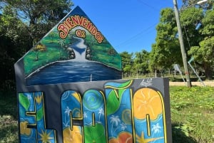 Punta Cana: Kahviplantaasi, suklaa ja sokeriruoko ...