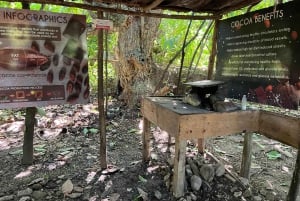 Punta Cana: Kahviplantaasi, suklaa ja sokeriruoko ...
