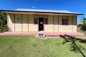 Punta Cana: koffieplantage, chocolade en suikerriet...