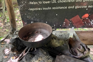 Punta Cana: koffieplantage, chocolade en suikerriet...