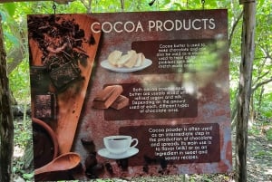 Punta Cana: koffieplantage, chocolade en suikerriet...