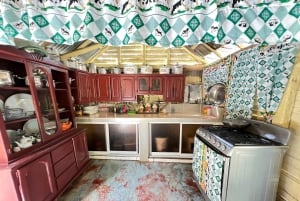 Punta Cana: Coffee Plantation, Chocolate, and Sugar Cane …