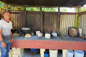 Punta Cana: Coffee Plantation, Chocolate, and Sugar Cane …