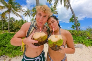 Experiencia de restauración de arrecifes de coral y snorkel en Punta Cana