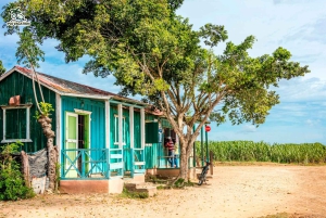 Punta Cana Cultural Tour History and Traditions Small Group