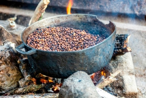 Punta Cana Cultural Tour History and Traditions Small Group