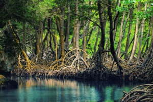 Punta Cana Tagestour von Punta Cana nach Los Haitises