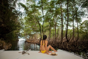 Excursión de un día desde Punta Cana a Los Haitises