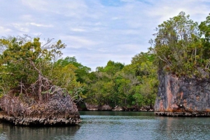 Excursión de un día desde Punta Cana a Los Haitises