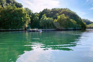 Excursión de un día desde Punta Cana a Los Haitises