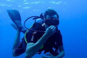 Punta Cana: Dive the Coral Paradise of Catalina Island