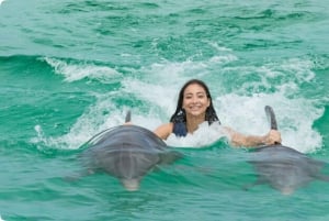 Punta Cana: Delfin-Aktionsprogramm
