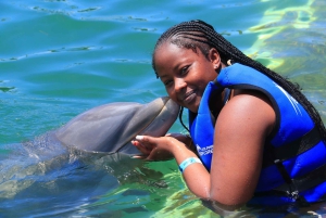 Punta Cana Dolphin Adventure: 40-Minute Interaction