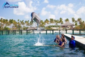 Punta Cana Dolphin Adventure: 40-Minute Interaction