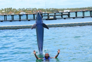 Punta Cana Dolphin Adventure: 40-Minute Interaction