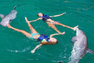 Punta Cana Dolphin Adventure: 40-Minute Interaction