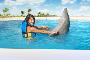 Aventure et rencontre interactive avec les dauphins de Punta Cana